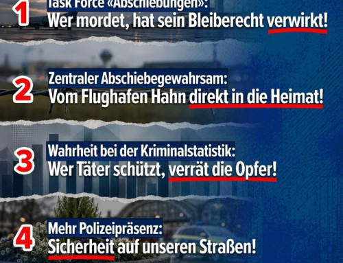 AfD-Sofortprogramm (nach der Bluttat in Trier)